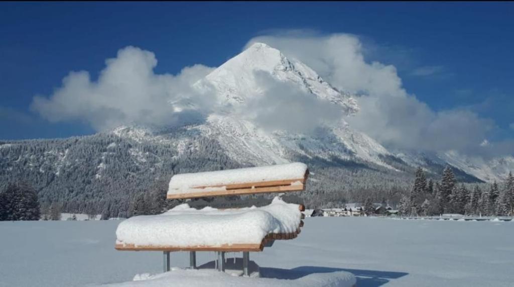 Alpenchalet Im Leutaschtal 외부 사진