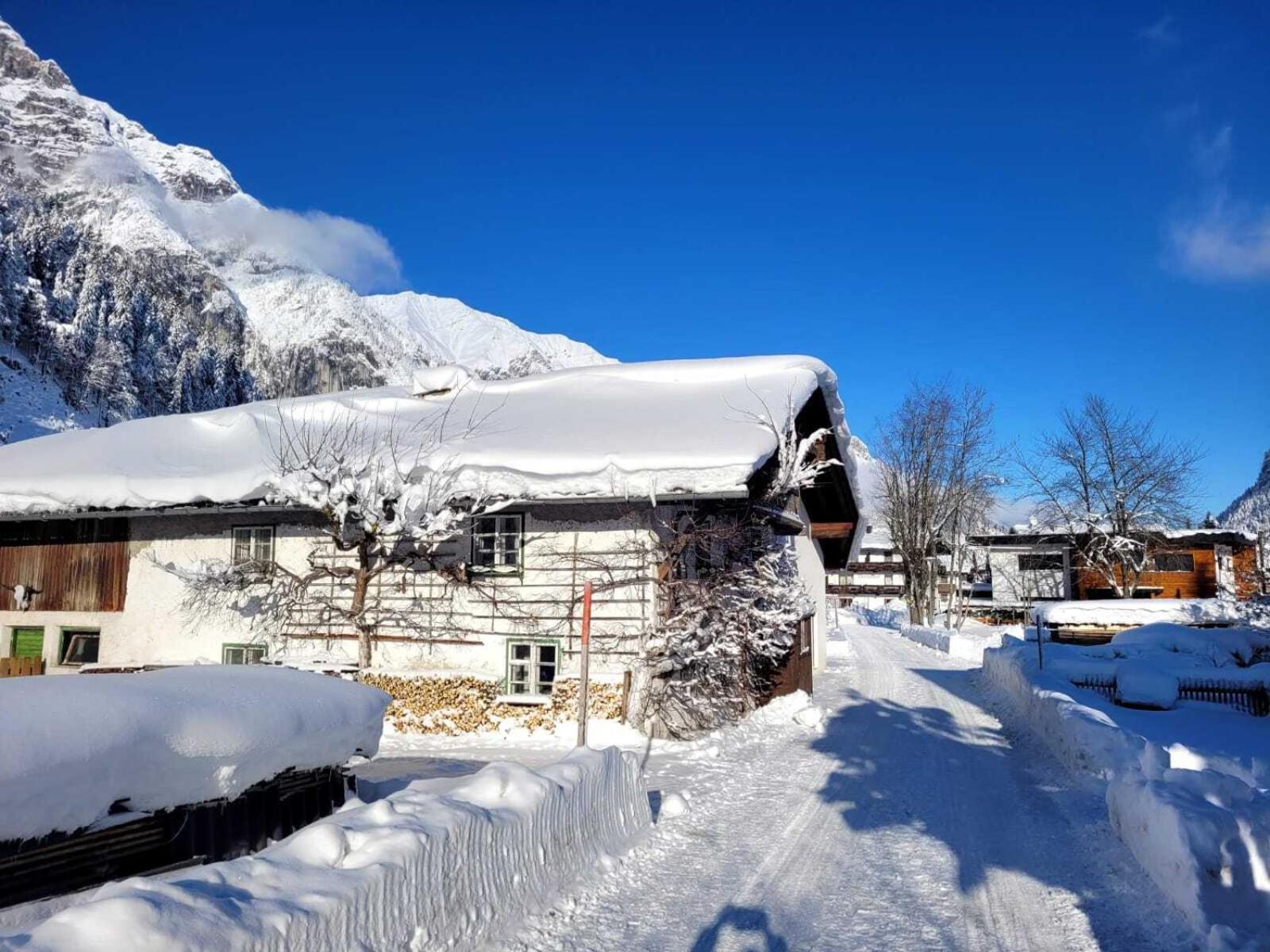 Alpenchalet Im Leutaschtal 외부 사진
