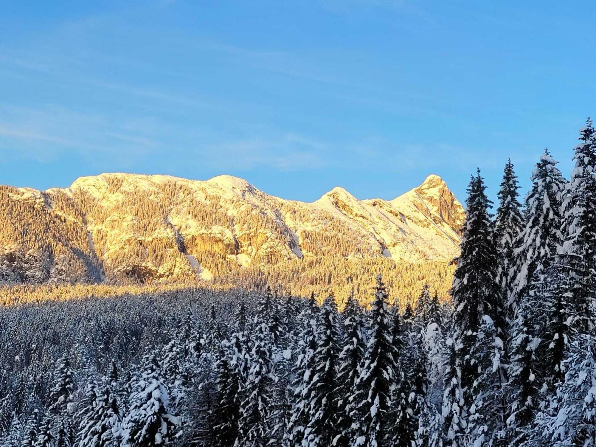 Alpenchalet Im Leutaschtal 외부 사진
